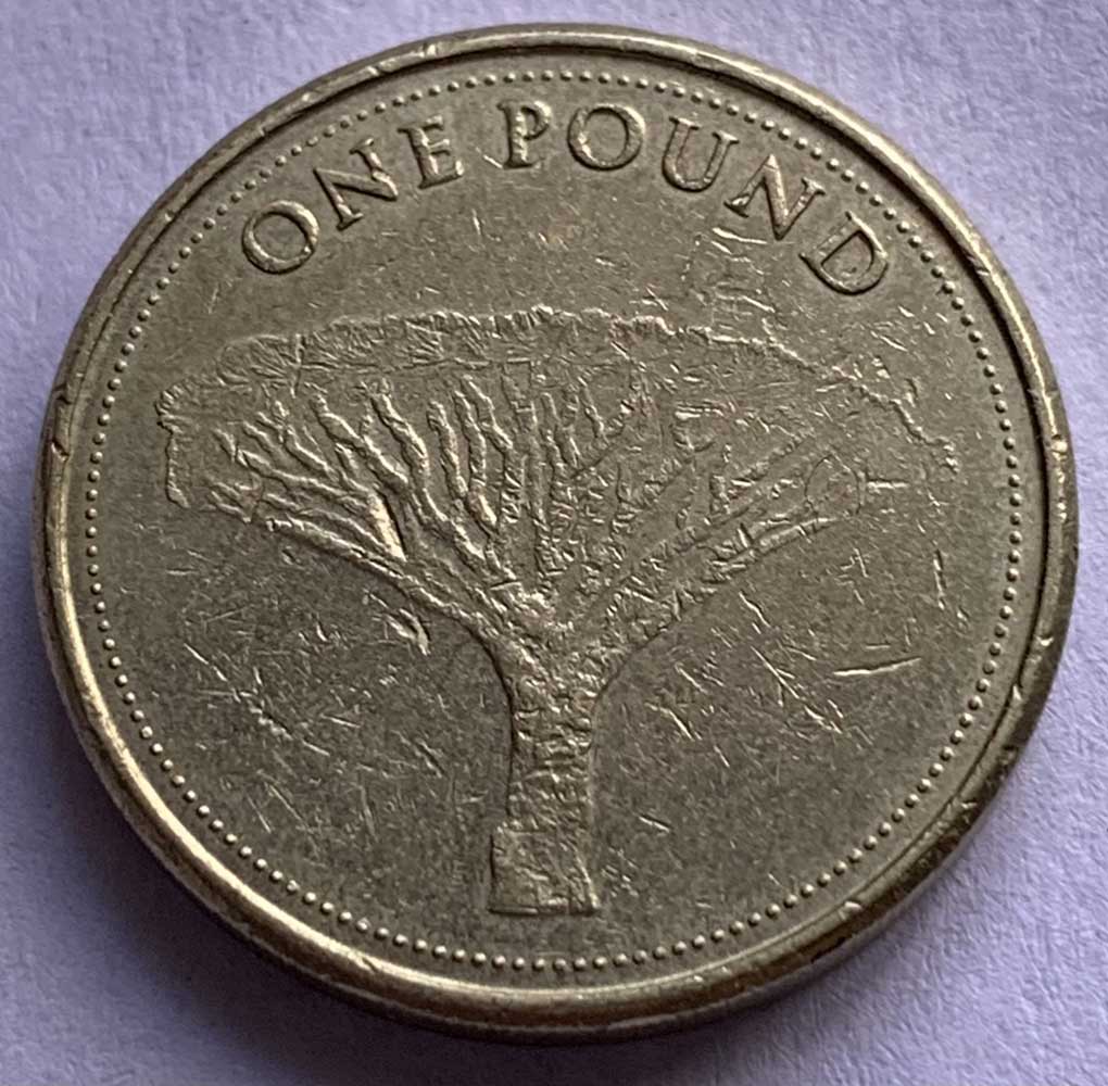 img_e4890 1 scaled.jpg