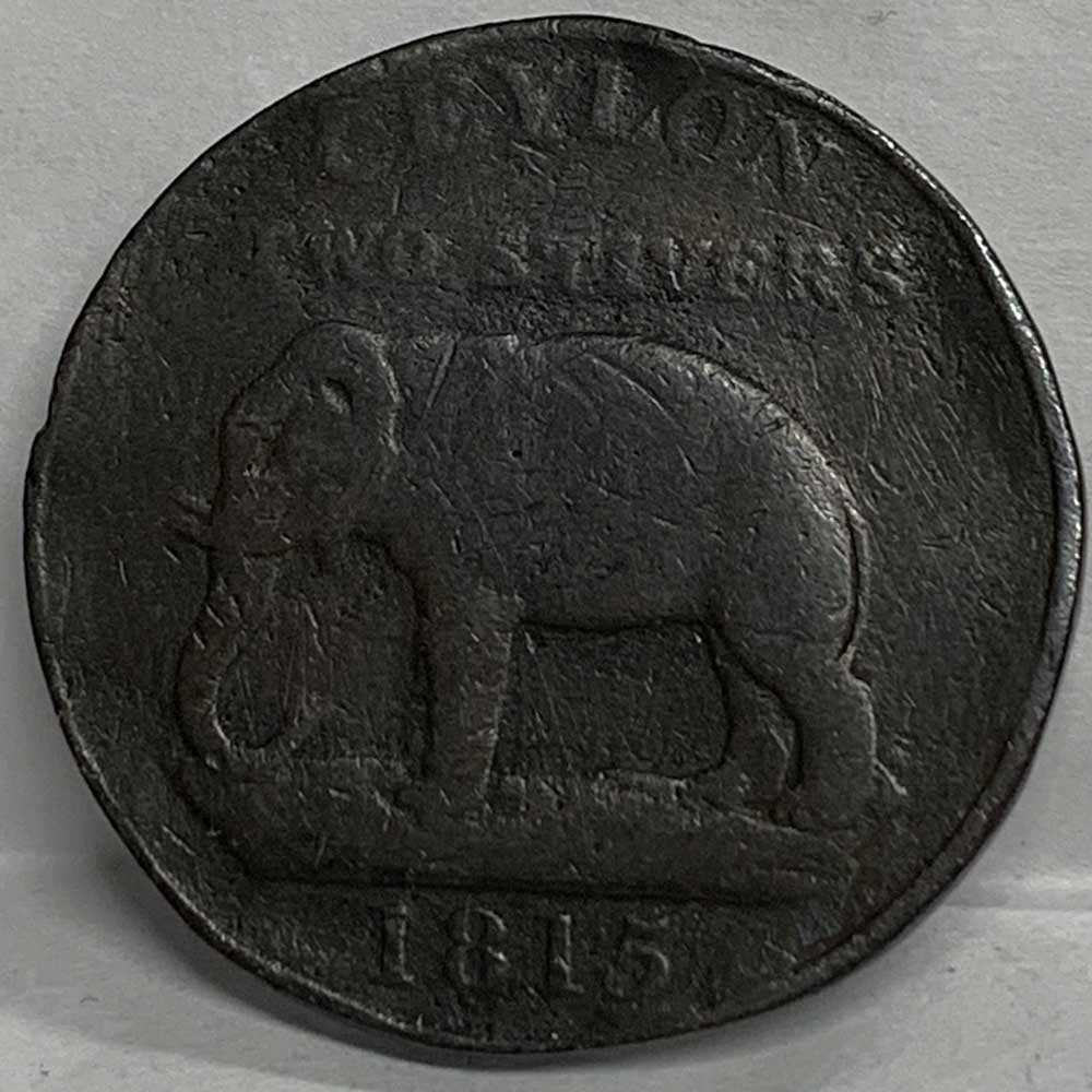 img_e5577 scaled.jpg