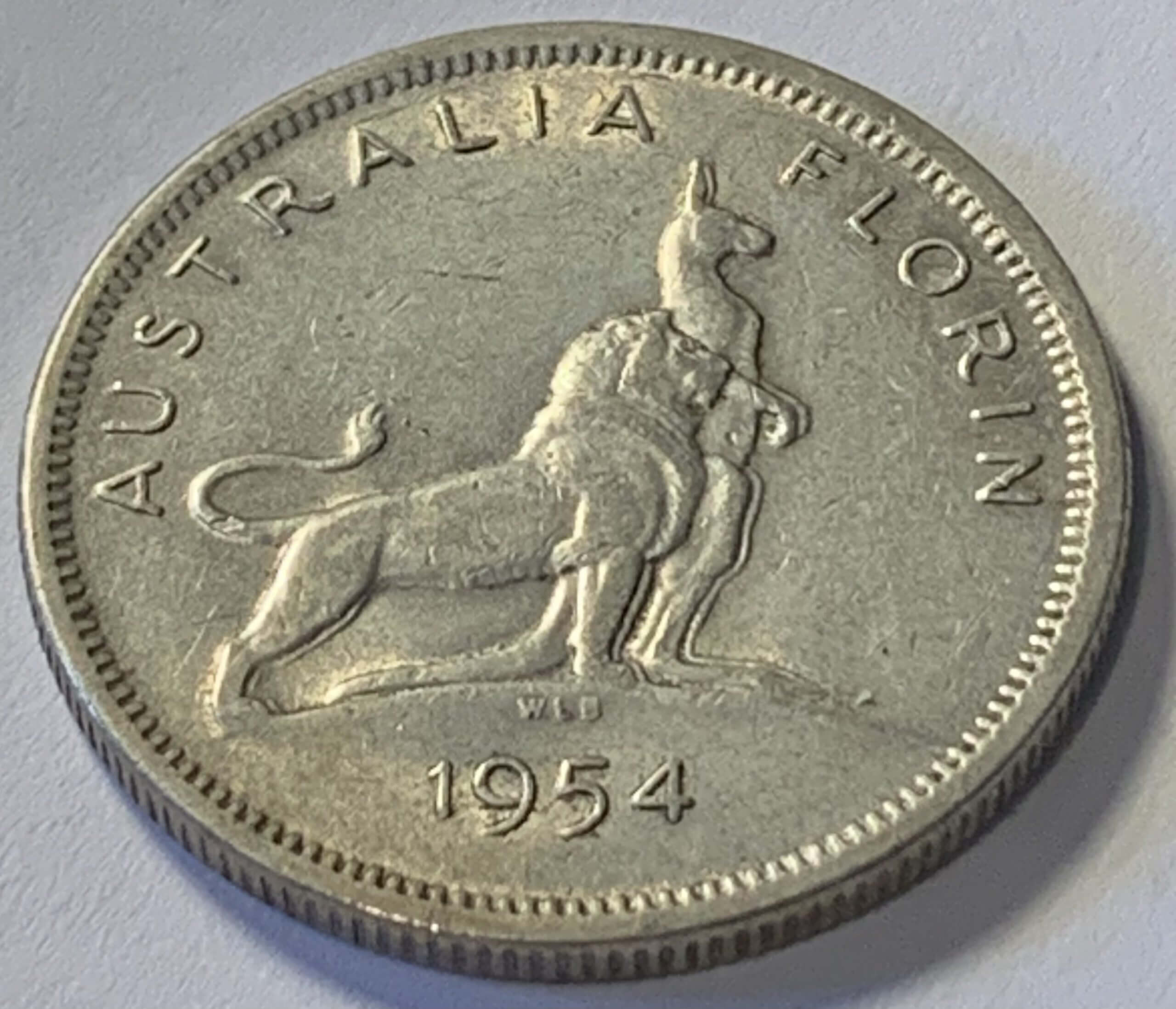 img_e5772 scaled.jpg